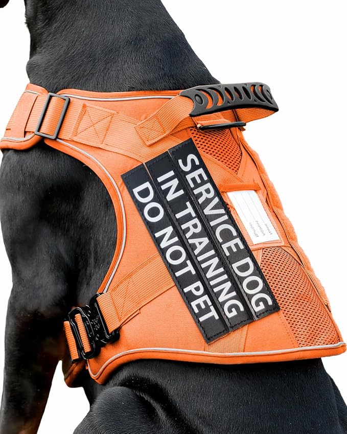 Reflective Service Dog in Training Vest Harness for Medium Large Dogs, Metal Buckles Front Clip Comfort Padded Adjustable Orange Dog Harness with Do Not Pet Patches for Training Walking