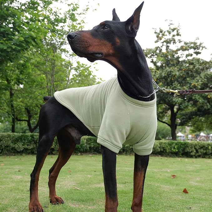 Lovelonglong Sweatshirt Cold Weather Pullover Autumn and Winter T-Shirts for Small Medium Large Size Dogs Grass-Green XL