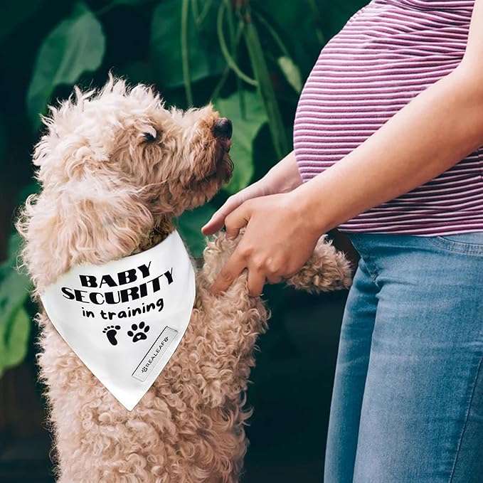 Realeaf Baby Security in Training Dog Bandanas Pet Scarf for Small Dogs Pregnancy Announcement Pet Accessories Pregnancy Reveal Ideas (Baby Security in Training, Small)