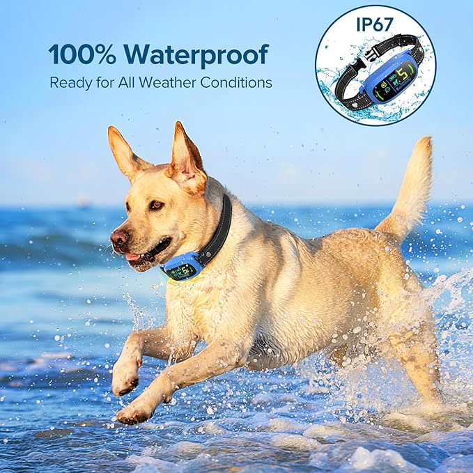 Bark Collar, Rechargeable Dog Bark Collar with 5 Adjustable Sensitivity and Intensity Beep Vibration, Anti Barking Collar for Small Medium Large Breed Dogs (Blue)