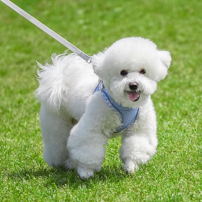 Soft Dog Harness and Leash Set for Walking, Summer Step in Vest Harness, Reflective Bands, Ultra Thin Breathable Pet Supplies, for Extra Small Dogs and House Cats Lavender XS