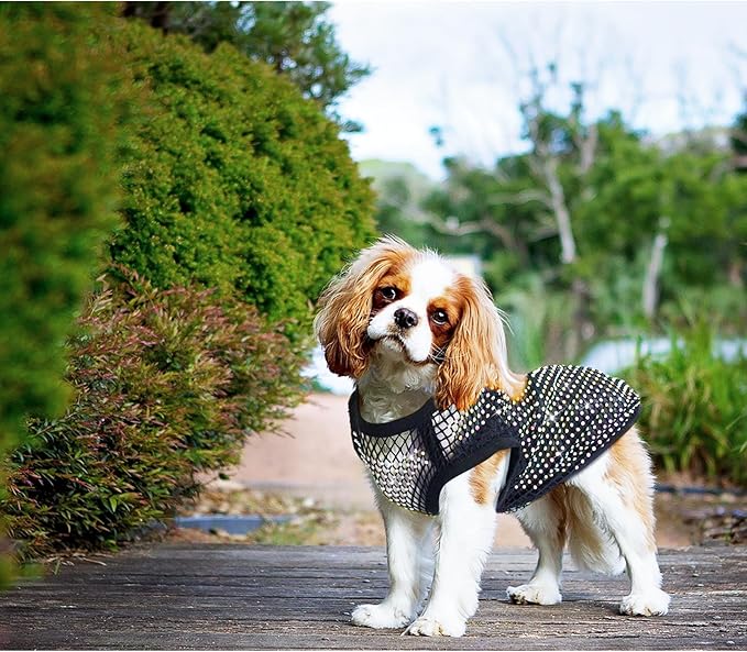 Dog Shirts Clothes, Pet Mesh Body Chains Diamond Short Sleeve Fishnet Crop,Tops Rhinestone See Through Cover up T-Shirt Apparel for Small Dogs Cats - S