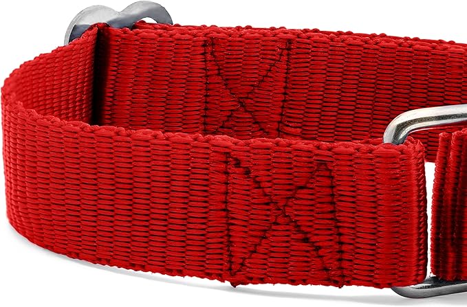 Martingale Dog Collar - Heavyduty Nylon Dog Collar with No Buckle Dog Training Collars for Medium Dogs (Red, Small)