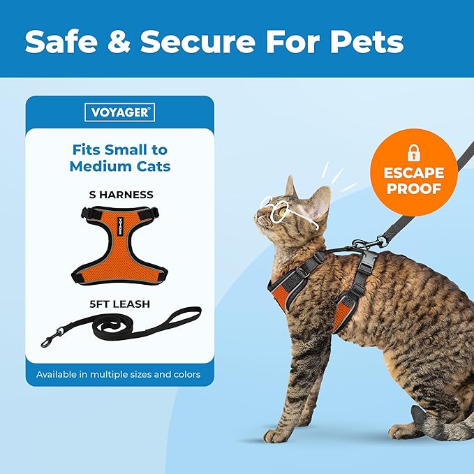 Voyager Escape Proof Cat Harness and Leash Set with Reflective Stitching, Neoprene Handle 5ft - Supports Small, Medium and Large Cats, Kittens for Walking by Best Pet Supplies - Black Trim-Orange, S