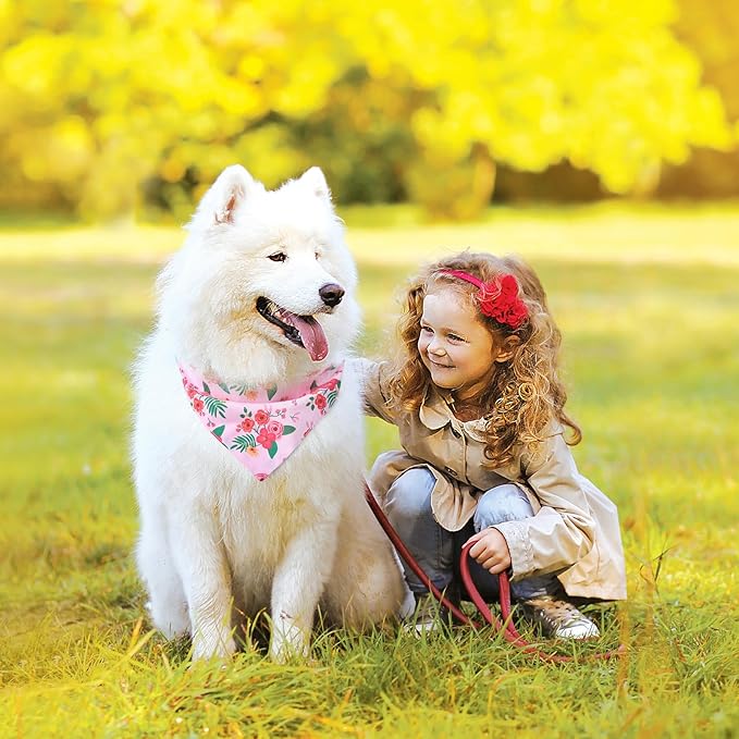 PAWCHIE Spring Dog Bandanas Small Reversible Styles Pet Triangle Scarf Bibs - Adjustable with Two Snaps - Kerchief Set Accessories for Dogs, Puppy, Cats, L