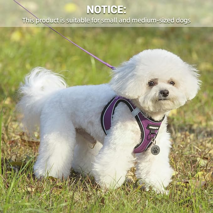 Dog Harness and Leash Set, Dog Harness for Dogs No Pull, No-Chock Step-in Reflective Breathable Lightweight Easy Walk Vest Harnesses with Safety Buckle for Small Medium Dogs, Cats (Purple, XS)