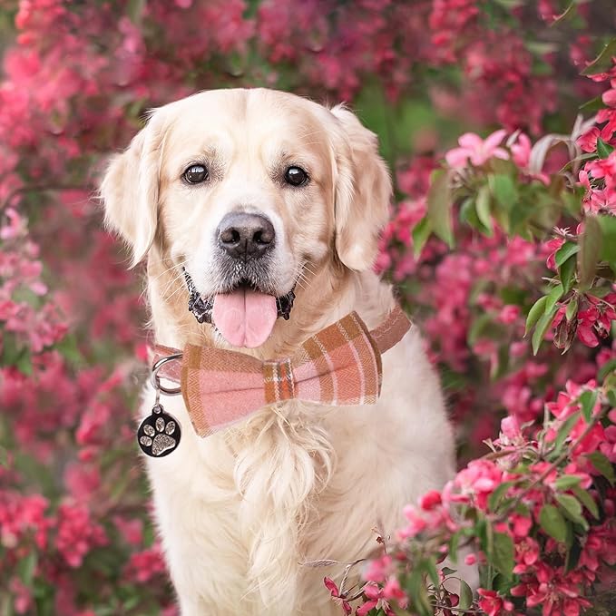 ADOGGYGO Pink Plaid Dog Collar with Detachable Bowtie, Adjustable Soft Plaid Pink Collars for Small Medium Large Female Dogs (Large)