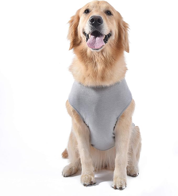 Star Wars for Pets 'You R2 Cool' Gray Dog Tank | Star Wars Dog Shirt for Large Dogs | Size X-Large | Soft, Cute, and Comfortable Dog Clothing and Apparel