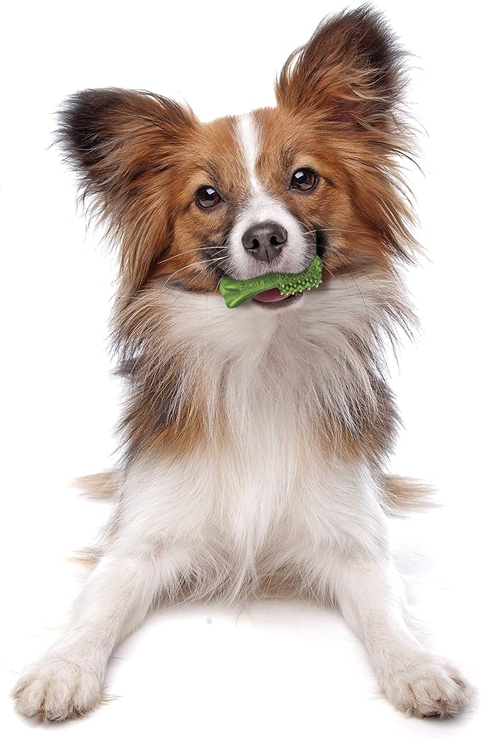 Nylabone Nutri Dent Dog Dental Chews - Natural Dog Teeth Cleaning & Breath Freshener - Dental Treats for Dogs - Fresh Breath Flavor, Mini (32 Count)