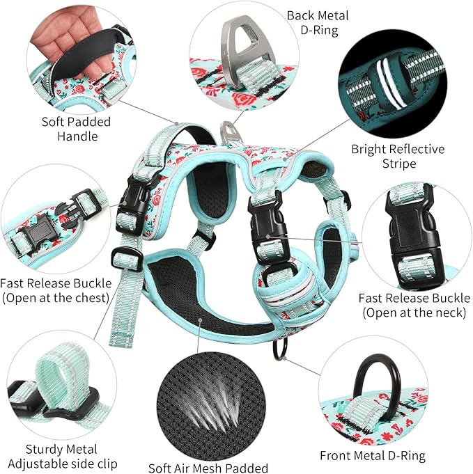 Timos Dog Harness, No-Pull Pet Harness with 2 Leash Clips, Adjustable Soft Padded Dog Vest, Reflective Outdoor Pet Oxford Vest with Easy Control Handle,Cyan,XS