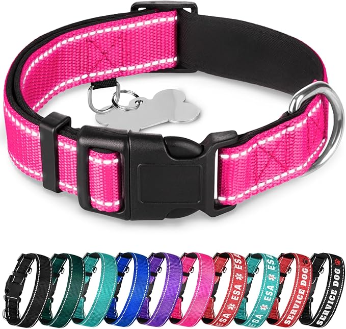 TECEUM Reflective Pet Collar – Hot Pink – M – Extra Soft Padding – Basic Nylon Dog Collar – Quick Release Buckle – Fits Small, Medium and Large Dogs, Puppies, Cats – ESA & Service Dog Options
