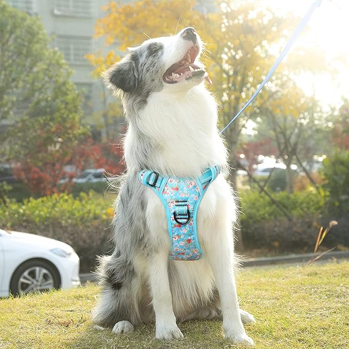 Timos No Pull Dog Harness,NO Need Go Over Dogs Head 3 Snap Buckles Reflective Oxford No Choke Puppy Harness with Front & Back 2 Metal Leash Clips Soft Padded for Small Medium Large Dogs