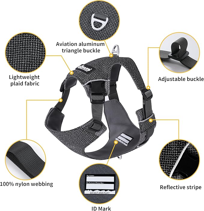 Dog Harness, Easy Walk Pet Harness No Pull with 2 Leash Clips, Reflective Running Soft Padded Adjustable Puppy Vest, Heavy Duty Seatbelt Harness for Car for Small Dogs (Blue, XL)