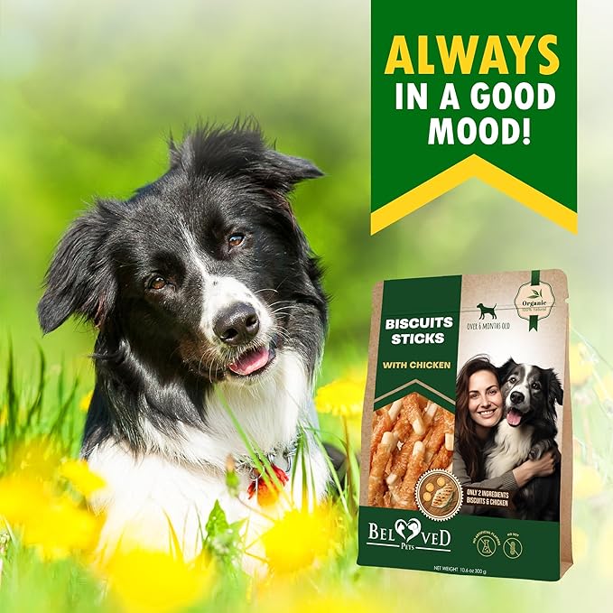 Dog Treats Biscuits Sticks Chicken Wrapped Human Grade Meat 11 oz - Natural Dried Snacks Rawhide - Free & Grain Free Long Lasting Chews for Large & Small Dogs - Best for Training & Healthy Teeth