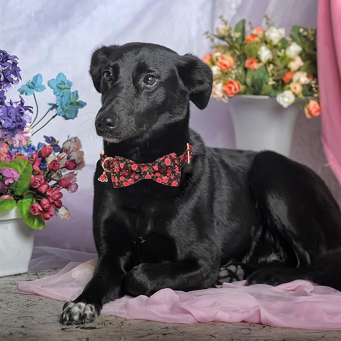 ADOGGYGO Floral Dog Collar with Bow, Red Rose Flower Dog Bowtie Collar with Metal Buckle, Adjustable Pet Floral Collars for Large and Extra Large Dogs (X-Large)