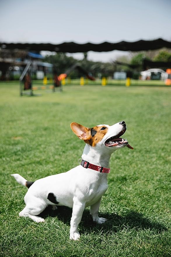 Dog Collar, Cute Floral Pattern, Soft and Adjustable Collar with Quick Release Buckle (S (Neck 11-18", Width 5/8"), Hawaiian Red)