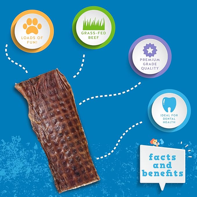 Jack&Pup Gullet Jerky | 6" Beef Gullet Jerky Chew for Small Dogs | Single Ingredient Dog Treats with Glucosamine for Natural Joint Support (25 Pk)