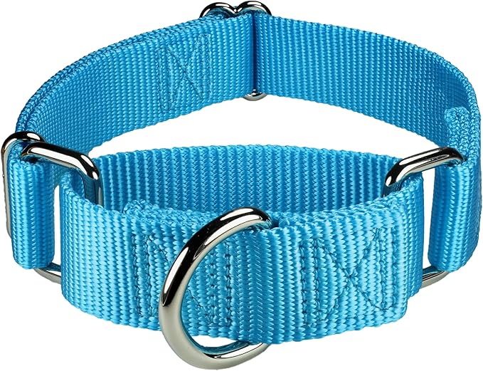 Mikivery Martingale Dog Collar Nylon Adjustable and Safety Training Colourful Comfortable Metal Buckle Pet Collars for Small Medium and Large Dogs(Ice Blue,L)