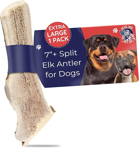 Devil Dog Pet Co. Split Elk Antlers for Dogs, Extra Large 7"+, 1 Pack, Grade A Long Lasting Chew for Aggressive Chewers, Premium USA Naturally Shed Antler – Healthy, No Odor, Durable Dog Chew