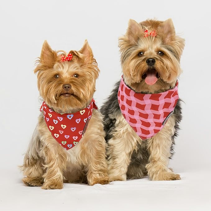 Large Spring Dog Bandanas 4Pack,Dog Scarf,Dog Bandanas boygirl,Premium Durable Fabric,Adjustable Fit,Unique Shape,Suitable for All Kinds of Dogs,Provide Various Sizes(Large)