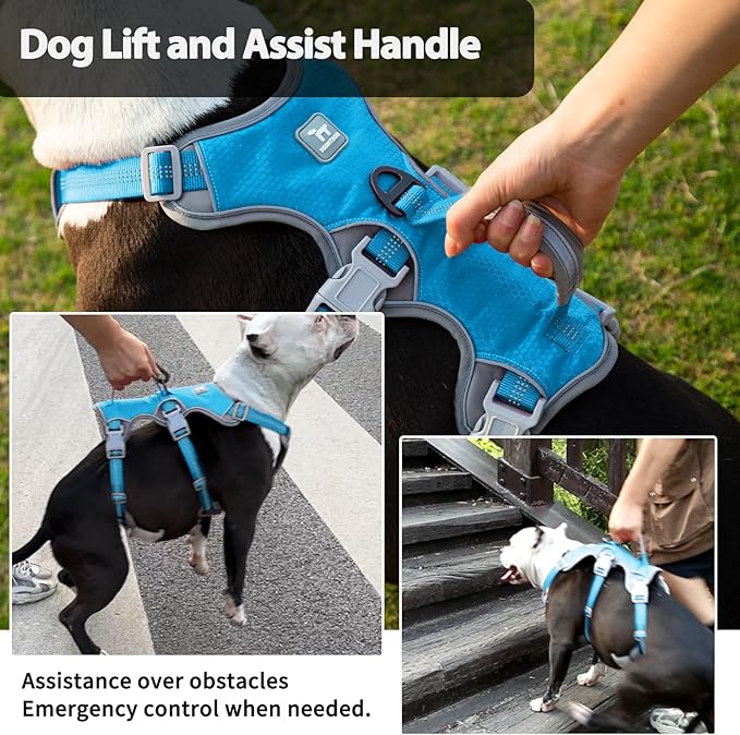 Dog Harnesses Escape Proof, Escape Artist Harness, Reflective Harness with Padded Handle, Breathable, Durable, Adjustable Vest for Large Dogs Walking, Training, and Running Gear (Blue, XL)