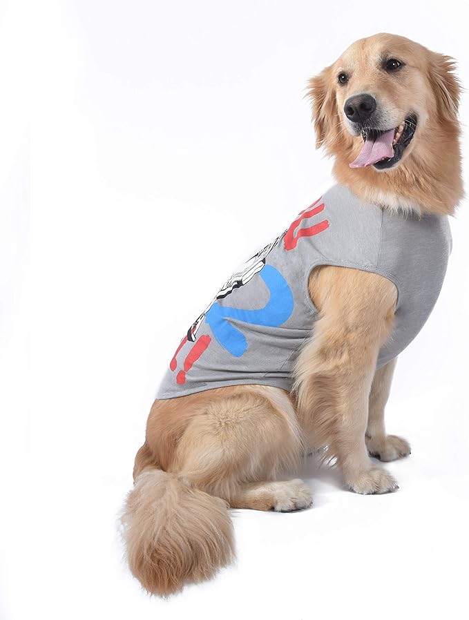 Star Wars for Pets 'You R2 Cool' Gray Dog Tank | Star Wars Dog Shirt for Large Dogs | Size X-Large | Soft, Cute, and Comfortable Dog Clothing and Apparel