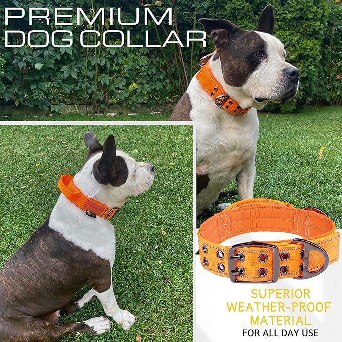 ADITYNA Heavy Duty Dog Collar for Medium Dogs - Reflective Orange Collar with Handle for Training, and Walking - Wide, Thick, Tactical, Soft Neoprene Padded