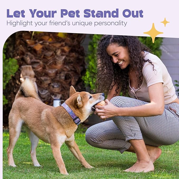 Dog Collar for Medium & Large Dogs - Flowers Cotton Padded Pattern on Long Lasting, Adjustable, Strong and Durable Collars - Choose from Stunning Patterns and Colors