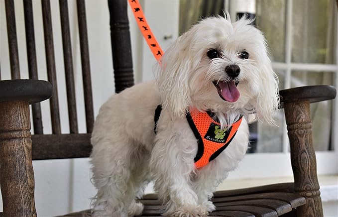 EcoBark Dog Harness - Eco-Friendly Max Comfort Harnesses - Luxurious Soft Mesh Halter - Over The Head Harness Vest- No Pull and No Choke for Small, Toy Breed, and Teacup Dogs (XS, Orange)
