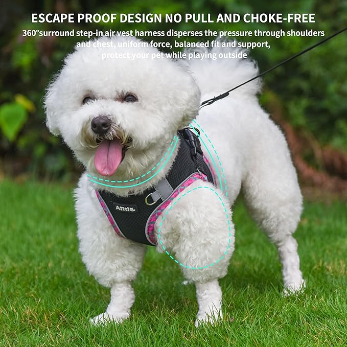 AIITLE Dog Harness and Leash Set - Ultra-Comfortable Vest with Strong Velcro & Glow-in-Dark Reflective Strips, Chafe-Free for Teddy, Schnauzer (Black, M)