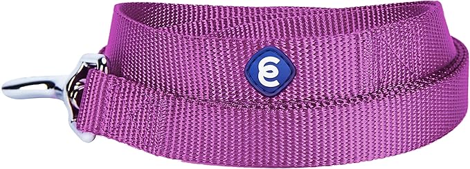 Blueberry Pet Essentials Durable Classic Dog Leash | Basic Nylon Dog Leash | 5ft. x 5/8" Small Dog Leash | Violet Dog Leash | Standard Dog Leashes & Lightweight Dog Leash for Training