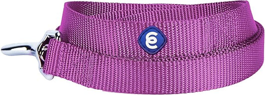 Blueberry Pet Essentials Durable Classic Dog Leash | Basic Nylon Dog Leash | 5ft. x 5/8" Small Dog Leash | Violet Dog Leash | Standard Dog Leashes & Lightweight Dog Leash for Training