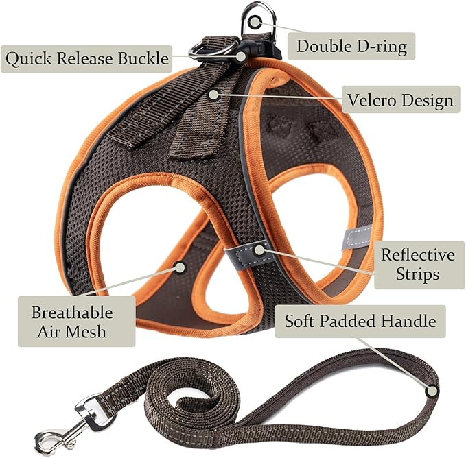 Dog Harness with Leash Set, No Pull Adjustable Reflective Step-in Puppy Pet Vest Harnesses for Small Medium Large Dogs and Cats,Brown XS