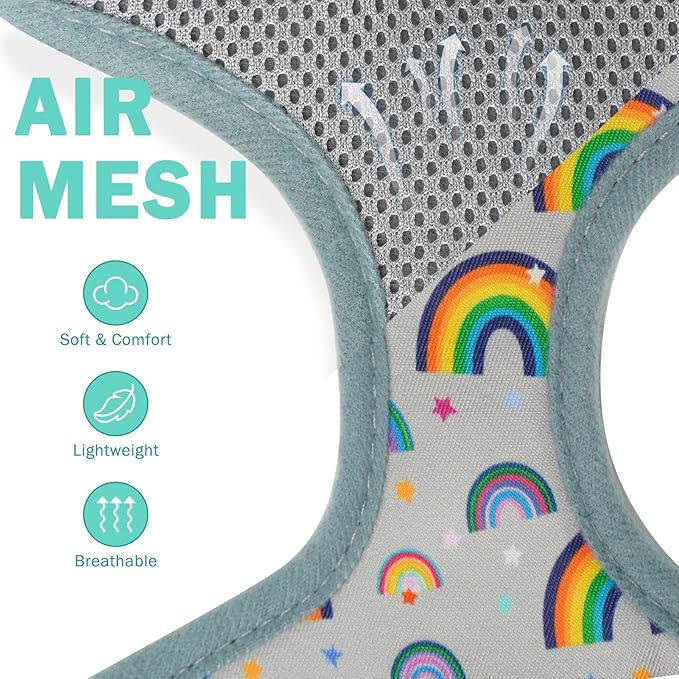 SCENEREAL Small Dog Harness Collar and Leash Set, Adjustable No Pull Pet Harnesses, No Chock Soft Mesh Step in Vest for Doggie Puppy Medium Dogs Cats Girl or Boy,Chihuahua, Yorkie, Outdoor Walking