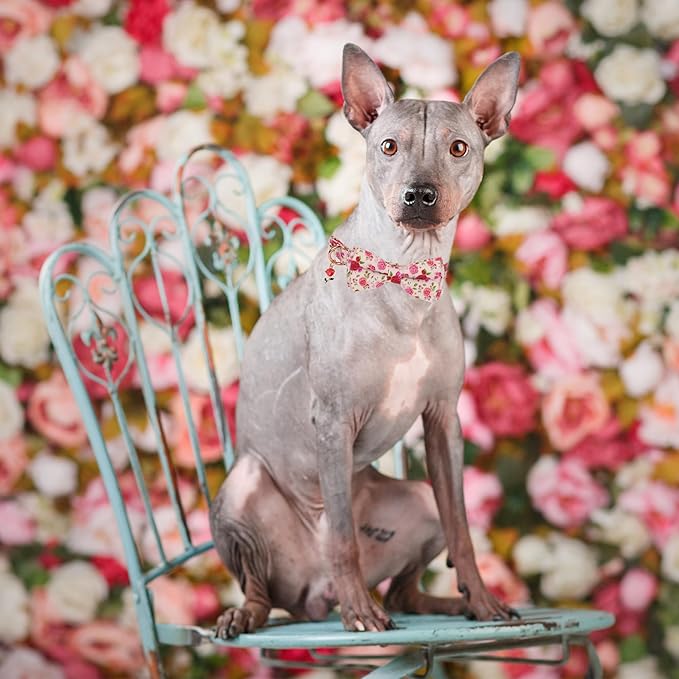 ADOGGYGO Floral Dog Collar with Bow, Red Pink Rose Flower Dog Bow Collar with Metal Buckle, Adjustable Pet Floral Collars for Small Dogs (Small)