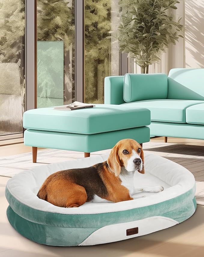 OhGeni Orthopedic Dog Couch Large Sized Pet Beds for Fathers Gifts with Comfort Foam Support, Soft Indestructible Fabric, Machine Washable Waterproof Removable Cover, 35-Inch (Turquoise)