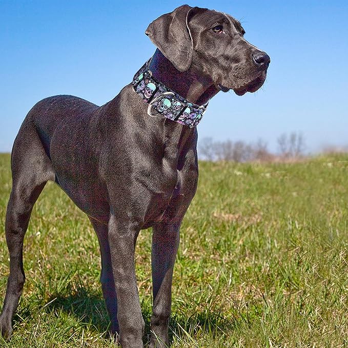 Martingale Dog Collar 1.5 Inch Wide - Heavy Duty Skull Design for Large Dogs, Adjustable Training Collar for Walking, Hunting, and Outdoor Activities - Perfect for Boys and Girls (XL)