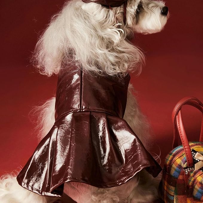 Luxury Dog Dress Girl Puppy Pu Leather Motorcycle Jacket Princess Tutu Skirt with Necklace for Small Pet Birthday Wedding Costume