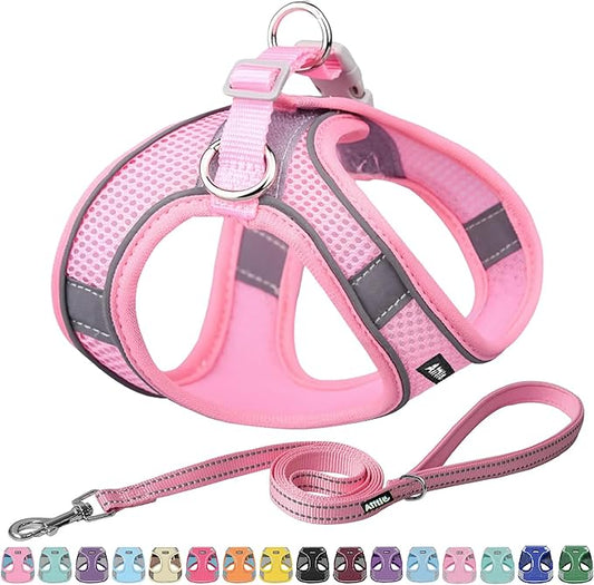 Aiitle Easy Walk Dog Harness and Leash Set - Pet Supply No Pull, Step in Adjustable Dog Harness with Padded Vest for All Weather, Dog Harness No Choke Over, Easy to Put on Medium Dogs Pure Pink L