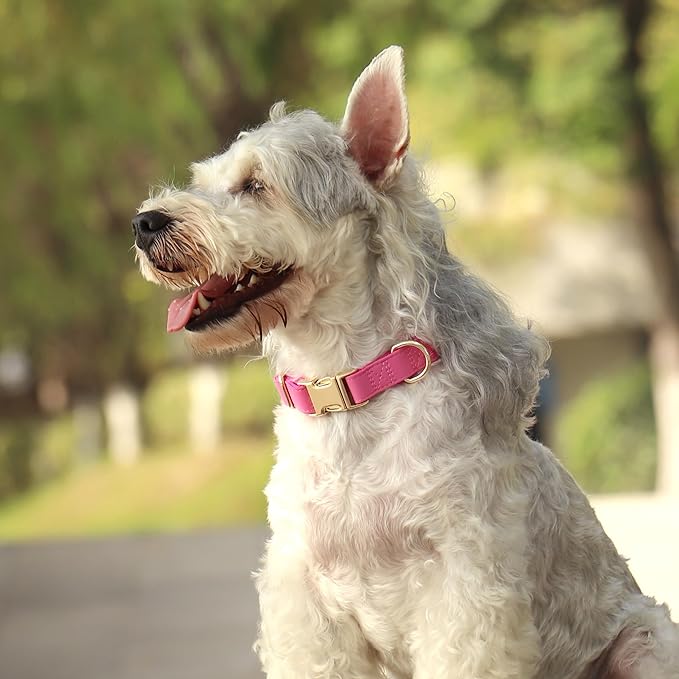 PET ARTIST Soft Leather Dog Collar, Bright & Stylish Hot Pink Dog Collar Girl, Durable & Heavy Duty Nylon Pet Collar with Quick Release Metal Buckle Adjustable for Large Dogs, Neck Fit 16-27"