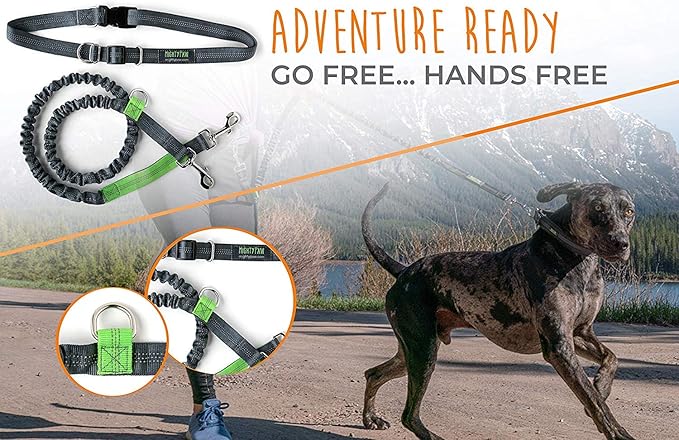Mighty Paw Hands Free Dog Leash | Bungee Waist Leash for Dog Walking. Pet Running Hands Free Tether for Large, Medium & Small Breeds. Pet Waist Belt (36" - 48") Up to 150 lbs - Gray