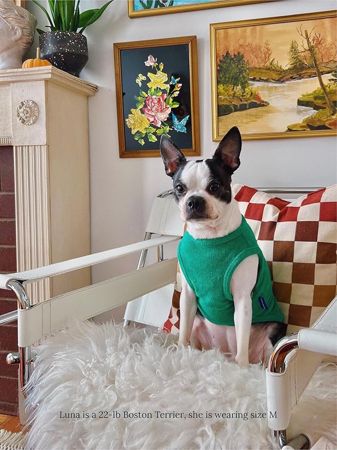 ADEDAS Sleeveless Shirt - Green XXL