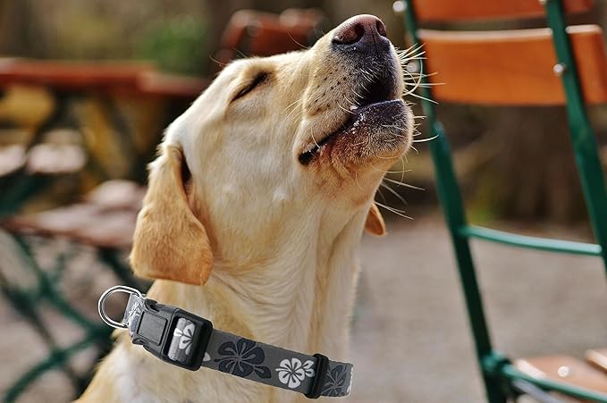 Dog Collar, Cute Floral Pattern, Soft and Adjustable Collar with Quick Release Buckle (L (Neck 16-28", Width 1"), Hawaiian Grey)