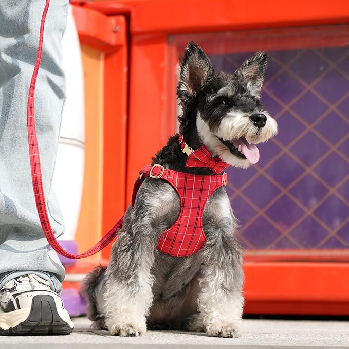 Beirui Cute Small Dog Harness Collar and Leash Set with Bowtie, Soft Adjustable Plaid Puppy Harness for Small Sized Dogs Cats Walks Parties and Photoshoots(Red,XXS:Chest 12-14")