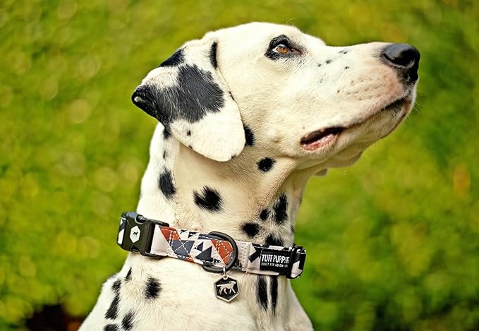 Tuff Pupper Premium Adjustable Dog Collar for Large Boy & Girl Dogs, Stylish Pattern Collars Designed in USA, Quick Release Buckle, NativePath Print, Large (1 Inch Wide x 18-26 Inch Neck)
