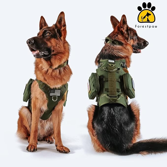Forestpaw Tactical Dog Harness for Large Dogs,Tactical Dog Collar with Bungee Leash Set,No Pull Military Dog Harness for Walking Training,Adjustable for Medium Large Dogs,Green,Chest 15.5-25.5"