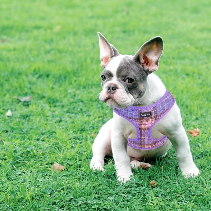 SCENEREAL Puppy Dog Harness with Leash Set for Small Medium Sized Dogs, Soft Mesh Step in Pet Harnesses and Leash, No Chock Plaid Adjustible No Pull Vest for Dogs Cats, Chihuahua,Bulldog (Purple XS)