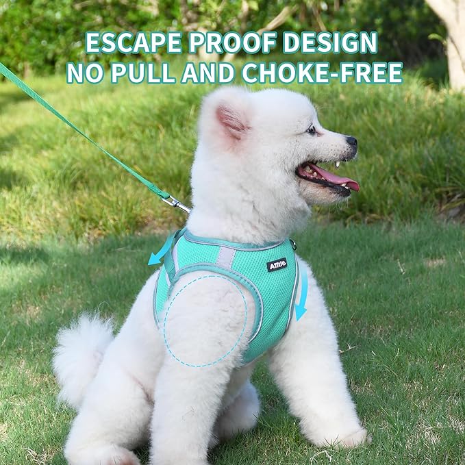 AIITLE Dog Harness and Leash Set, No Pull Step in Puppy Harness with Super Breathable Mesh, Reflective Puppy Essentials for Outdoor Walking, Training for Small Dogs, Cats Turquoise XS