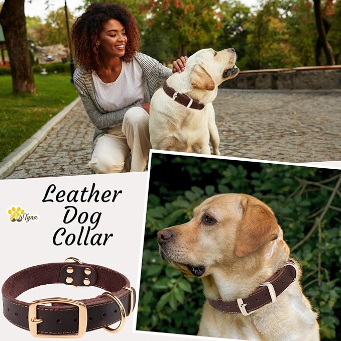 ADITYNA Heavy Duty Leather Dog Collar for Medium Dogs - Soft and Strong Collar for Walking, and Training (Medium: Fit 13" - 20" Neck, Brown - Gold Colored Buckle)