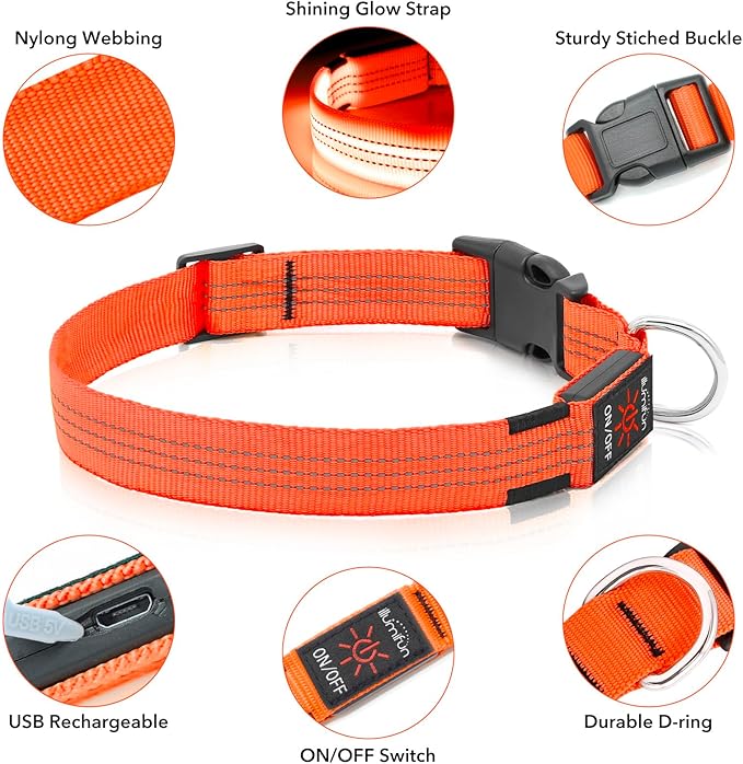 USB Rechargeable LED Dog Collar - Light Up Dog Collar for Small Dogs, Reflective Adjustable Safety Dog Collar Lights for Night Walking (OrangeⅢ, Small)